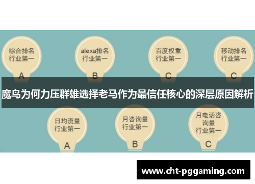 魔鸟为何力压群雄选择老马作为最信任核心的深层原因解析