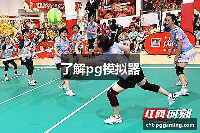 了解pg模拟器
